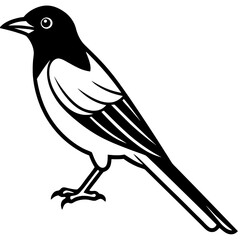 bird on a branch