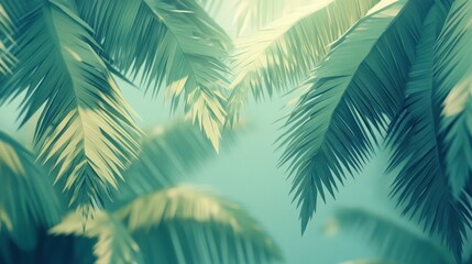 Stunning background of lush tropical palm leaves in vibrant shades of green with soft sunlight peeking through the dense foliage creating a soothing serene and rejuvenating atmosphere  This verdant