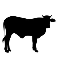 Cow clip art design on plain white transparent isolated background for card, shirt, hoodie, sweatshirt, apparel, card, tag, mug, icon, poster or badge