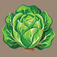Obraz premium Fresh green leaf lettuce vector illustration