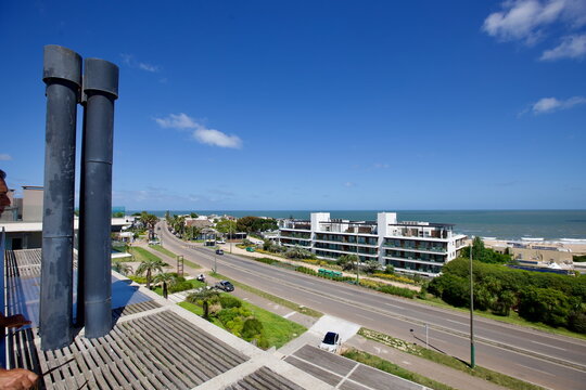 edificios, flores, plantas, verde