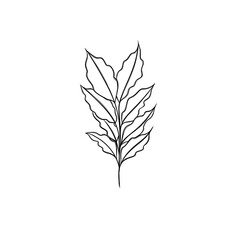  leaf pant line art. Minimalistic line drawing. leaf line art. Botanical drawing illustration by hand.
