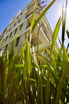 edificios, flores, plantas, verde