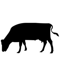 Cow clip art design on plain white transparent isolated background for card, shirt, hoodie, sweatshirt, apparel, card, tag, mug, icon, poster or badge