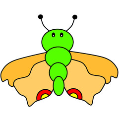 Butterfly