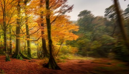 Obraz premium element of southern forests inside the middle of autumn