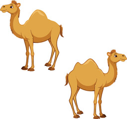 Two cartoon camels standing and looking upwards