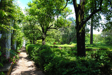 Fototapeta premium Green Garden with Walking Path