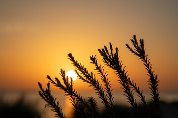 Obraz premium Sunrise on northern coast of Rhodes island