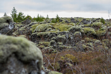 Island - Landscape