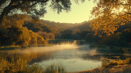 Mist over lake, sunset through trees, peaceful nature scene.