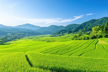The grassy hills of the lush green landscape with clear blue sky and mountains in background, green grass field, summer nature scene. A stunning view from above of Japanese countryside