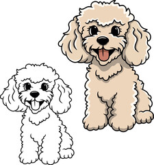 Poodle vector dog puppy