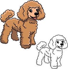 Poodle vector dog puppy