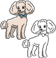 Poodle vector dog puppy