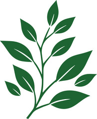 green leaves isolated on white