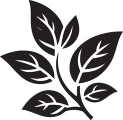 black and white silhouette of leaves