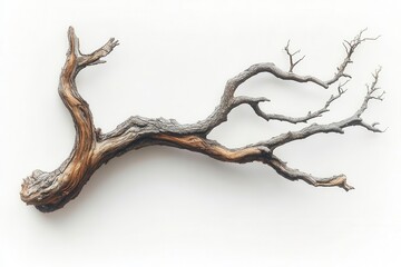 Fototapeta premium isolated dry tree branch against a stark white background showcasing natures resilience and beauty in simplicity perfect for minimalist art lovers and environmental themes