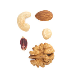 A raw walnut, hazelnut, almond, pistachio, and cashew arranged side by side on a white background. A simple and healthy selection of individual raw nuts.