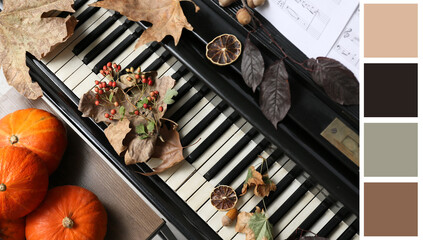 Piano keyboard and autumn decoration. Top view