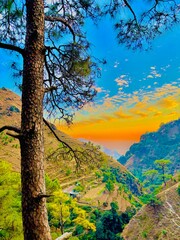 landscape with trees