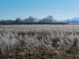 Fototapeta premium Winter landscape near Hohenbrunn in Germany.