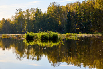 Serene Lake View with Lush Greenery and Clear Sky