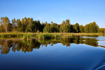Serene Lake View with Lush Greenery and Clear Sky
