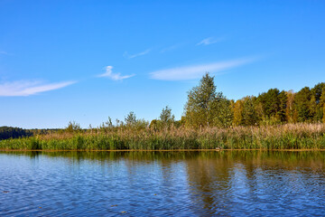 Serene Lake View with Lush Greenery and Clear Sky