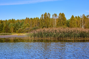 Serene Lake View with Lush Greenery and Clear Sky