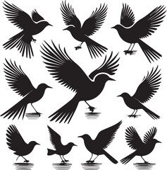 a icon set style many bird silhouette.