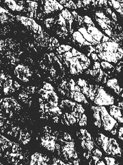 Grunge texture vector 
