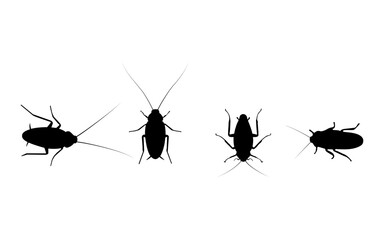 Cockroach Silhouette.