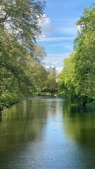 A cozy river surrounded by green trees under a blue sky creates a peaceful natural landscape.