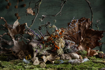 Still life. Background. composition. Desktop screensaver. Poppy fruits. A branch of leaves. Feathers of wild birds.