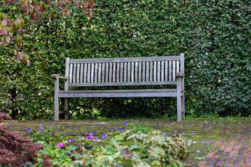 Bench in the park in autumn with ivy and purple flowers.