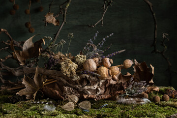 Still life. Background. composition. Desktop screensaver. Poppy fruits. A branch of leaves. Feathers of wild birds.