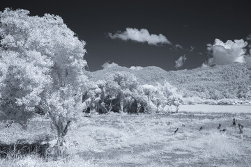 a landscape captured in infrared photography. The scene includes rolling hills covered in...