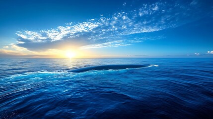 Fototapeta premium Vast Ocean Sunset Serenity