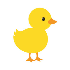 Fluffy Yellow Duckling Vector Illustration, Cartoon Clipart & Line Art Design.eps