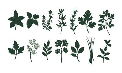  Set of 12 Green Herb Silhouettes, Mint, Rosemary, Thyme, Basil, and More