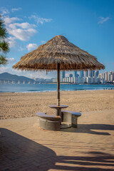 Busan, South Korea - October 13 2024 