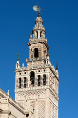 Fototapeta premium Famous cathedral in Sevilla with Giralda tower