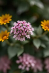 Fototapeta premium Flower