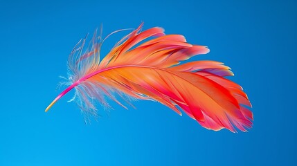 Obraz premium colorful feathers isolated on white