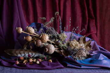 Still life. Background. Phyto composition. Desktop screensaver. Phyto design. Poppy fruits. Poppy heads. Dry flowers. Medicinal plants. Field flowers. Drapery of colored fabrics
