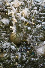 moss covered rocks