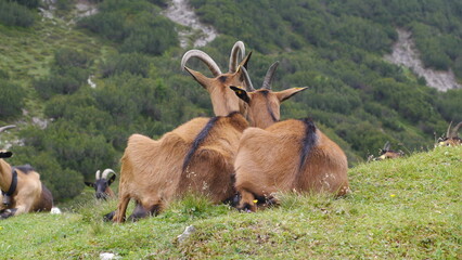 Karwendel