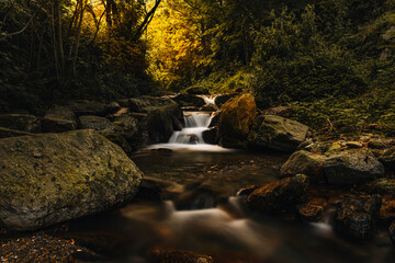 Piękny potok w lasach San Vito Włochy