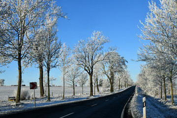 winterliche Landstrasse - obrazy, fototapety, plakaty